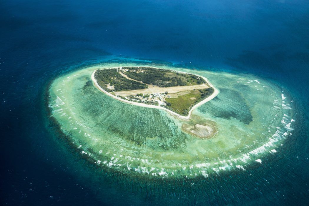 Lady Elliot Island: A Green Paradise with a Purpose